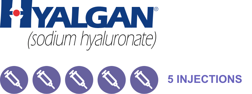 Hyalgan for Healthcare Professionals